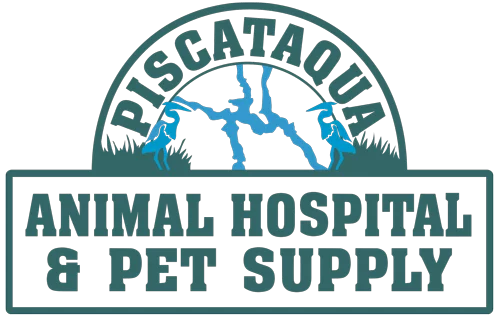 Animal Hospital & Veterinarian in Kittery, ME | Piscataqua Animal Hospital