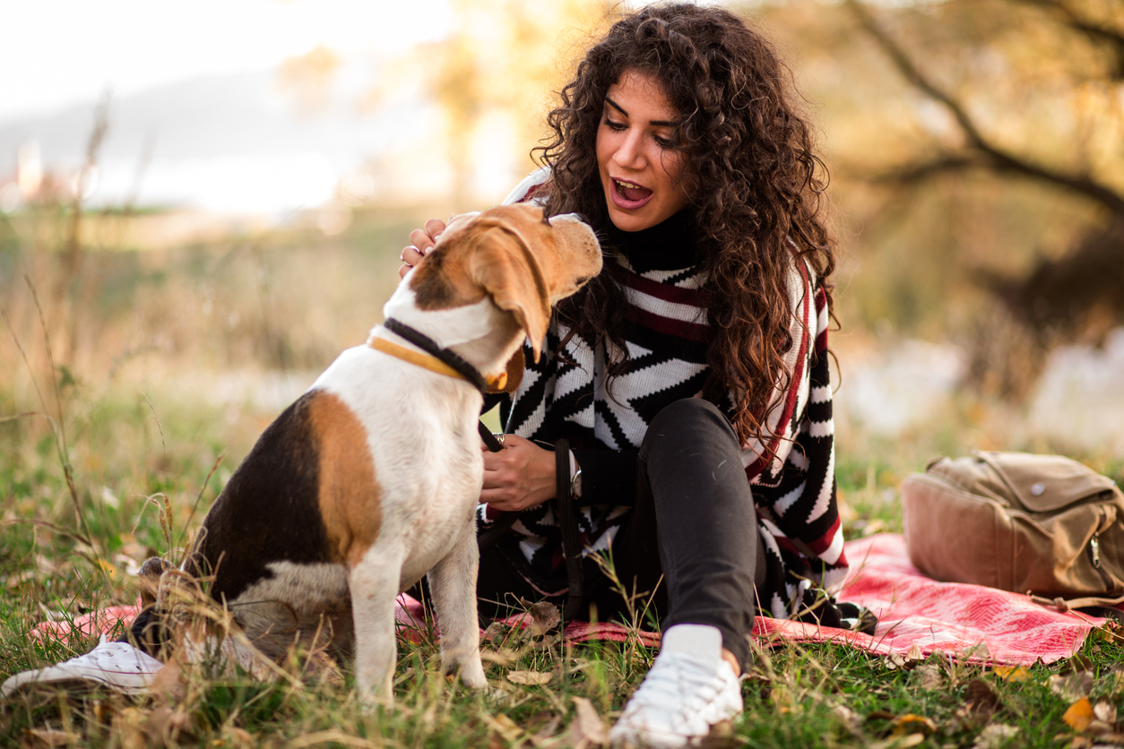 How to Fix Bad Habits During Dog Training